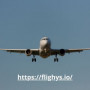 Flighys