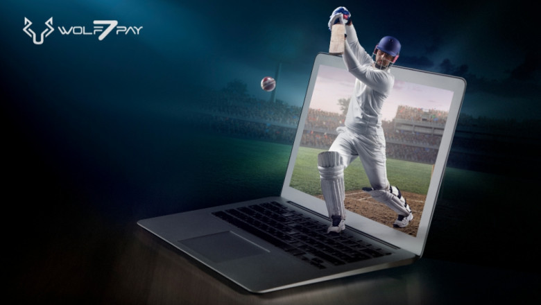 Which Is the Best Cricket ID Provider? - The Ultimate Guide