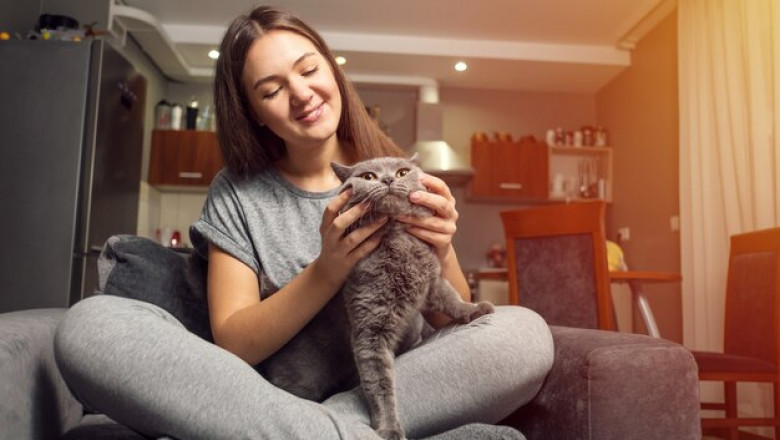 Reliable Solutions for Pet Owners in the Crescent City