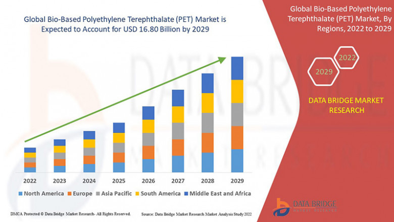 Bio-Based Polyethylene Terephthalate (PET) Market Trends, Insights and Future Outlook 2022 –2029