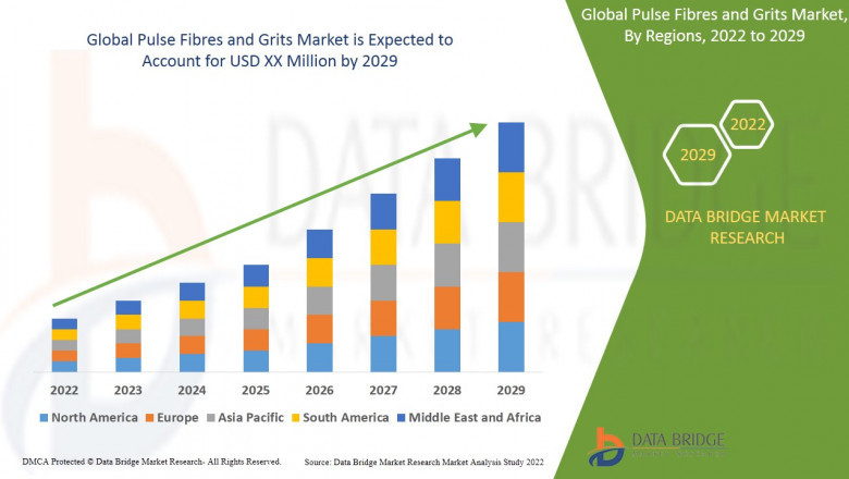 Pulse Fibres and Grits Market Trends, Insights and Future Outlook 2022 –2029