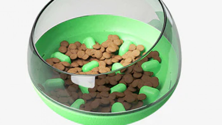The Ultimate Guide to Choosing the Best Pet Food Bowls for Every Breed Size